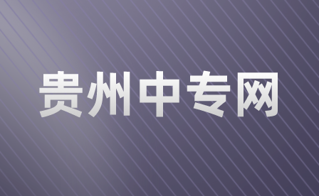 2020年贵州电子科技职业学院分类考试招生录取原则及奖助学政策