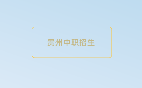 2024年贵州市中职学校招生标准